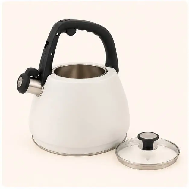 Чайник со свистком ZEIDAN Z-4554 3,0 л