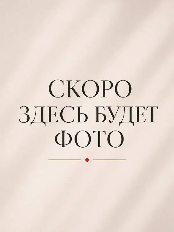 Чайник со свистком ZEIDAN Z-4474 3 л
