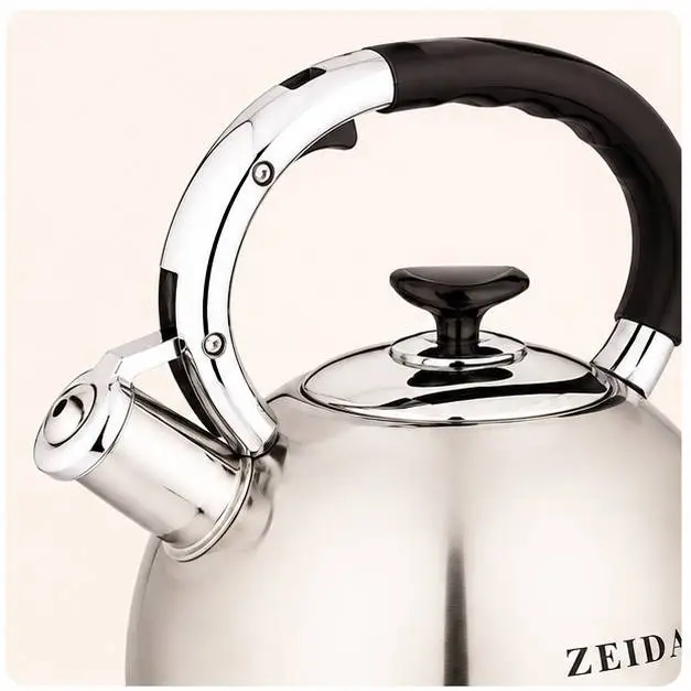 Чайник со свистком ZEIDAN Z-4151 3,0 л